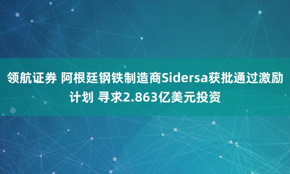 领航证券 阿根廷钢铁制造商Sidersa获批通过激励计划 寻求2.863亿美元投资