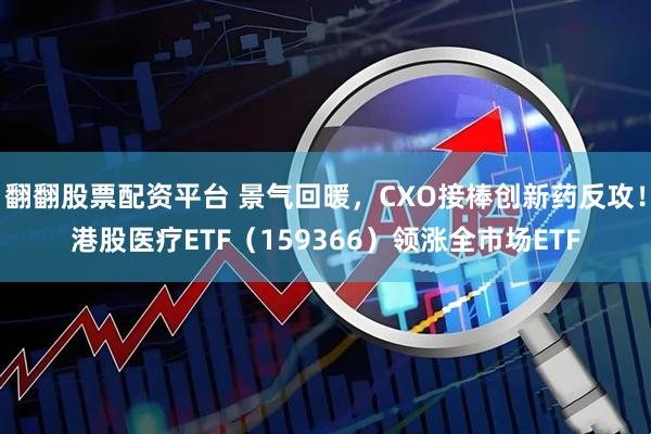 翻翻股票配资平台 景气回暖,CXO接棒创新药反攻!港股医疗ETF(159366)领涨全市场ETF